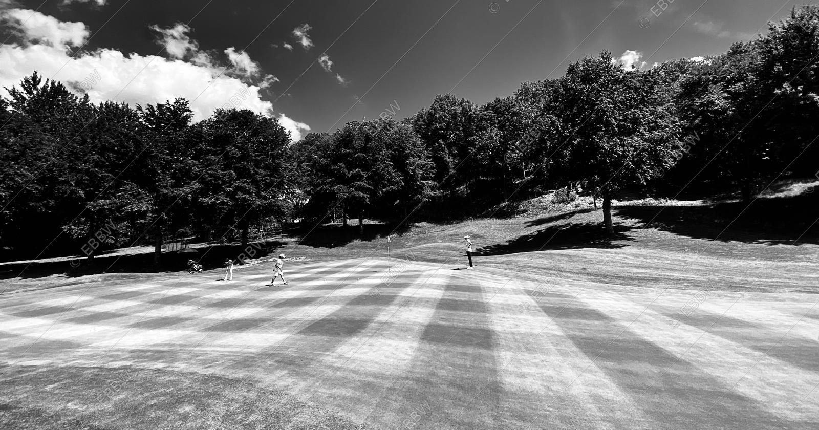 Golfeurs sur un green rayé, sous de grands arbres