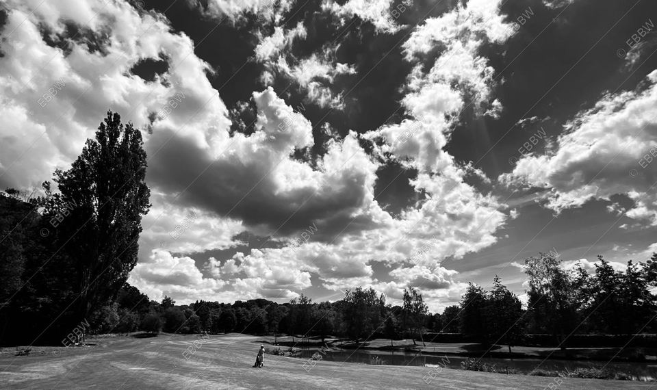 Peupliers sous des cumulus