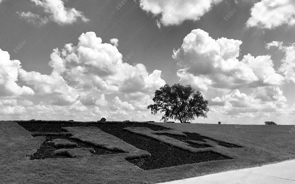 Arbre isolé et nuages au-dessus de lettres tracées dans l’herbe