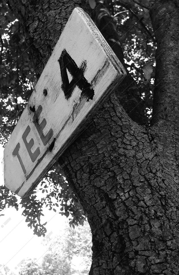 Panneau en bois « Tee 4 » cloué sur un tronc