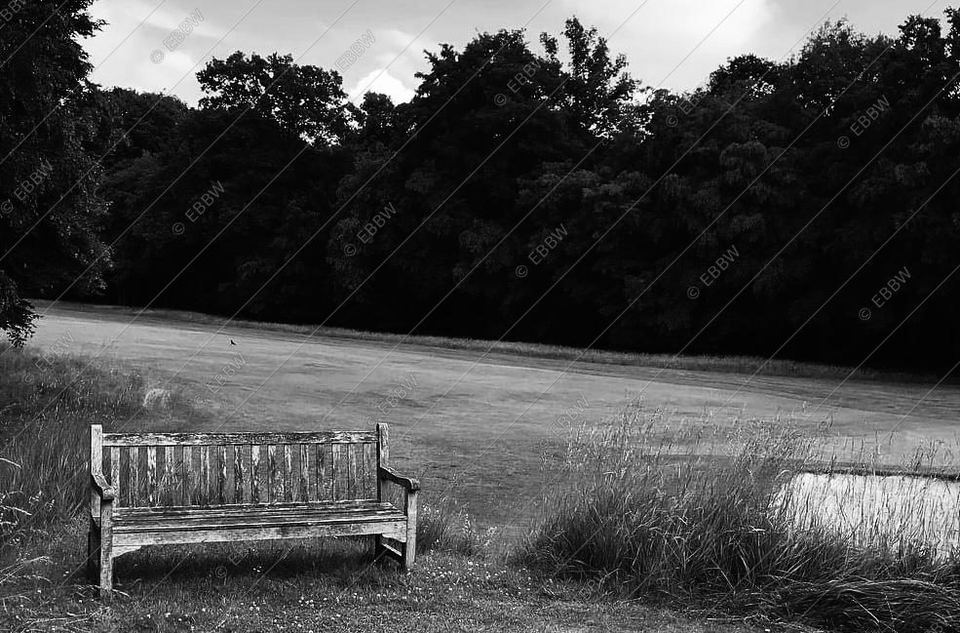 Banc en bois face à une pelouse bordée d’arbres