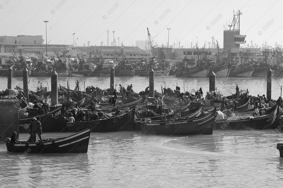 Port rempli de barques de pêche