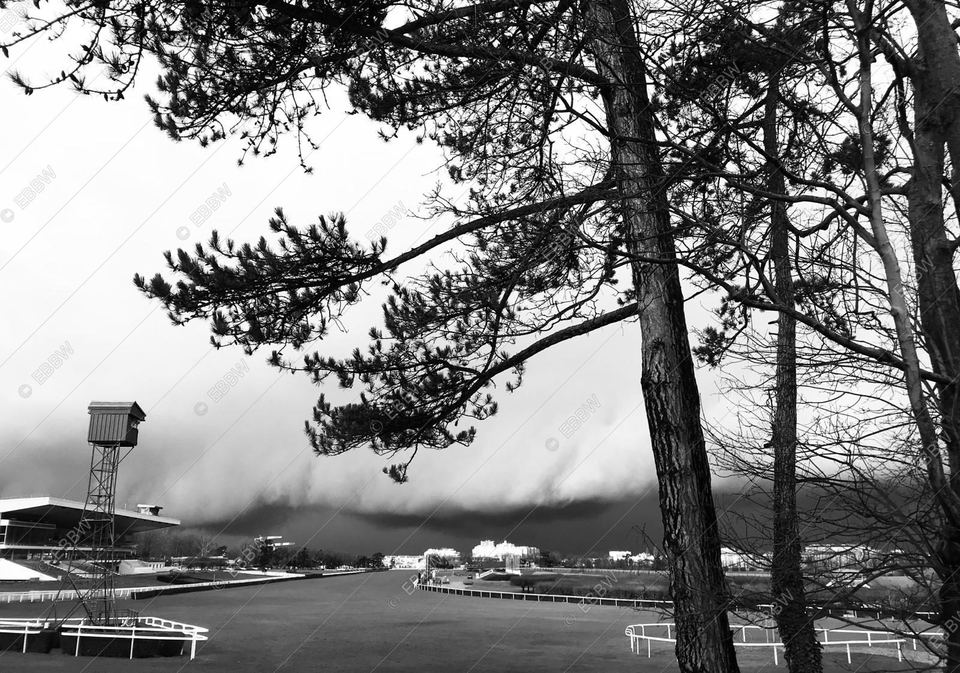 Pins devant un ciel d’orage sur une piste