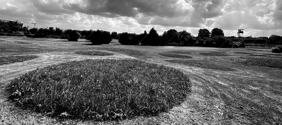 Cercle d’herbe sur une prairie sous un ciel nuageux