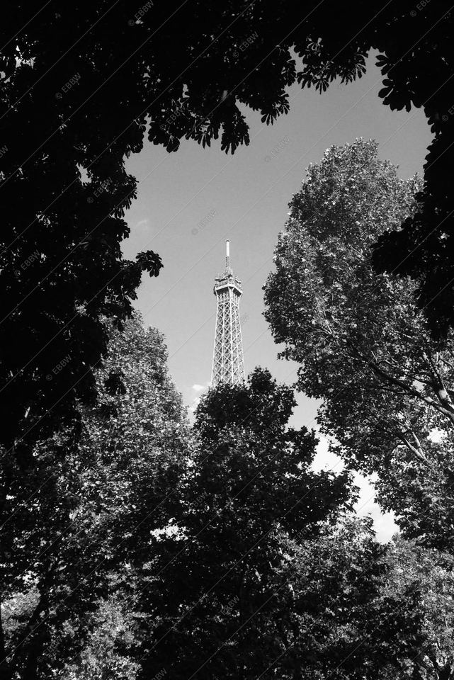 Tour métallique encadrée par les arbres