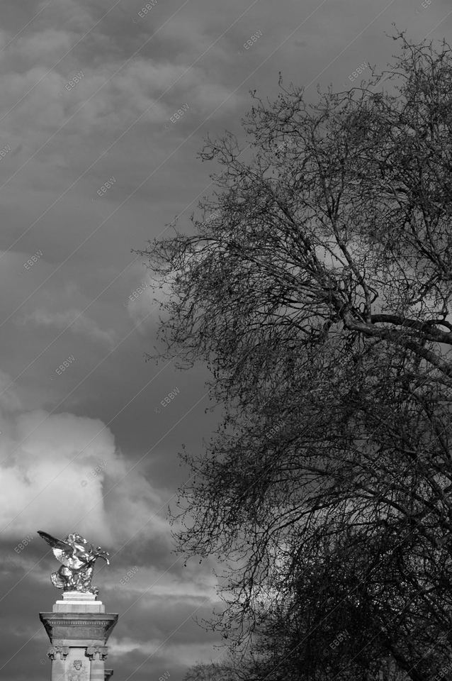 Statue dorée et grand arbre sous un ciel nuageux