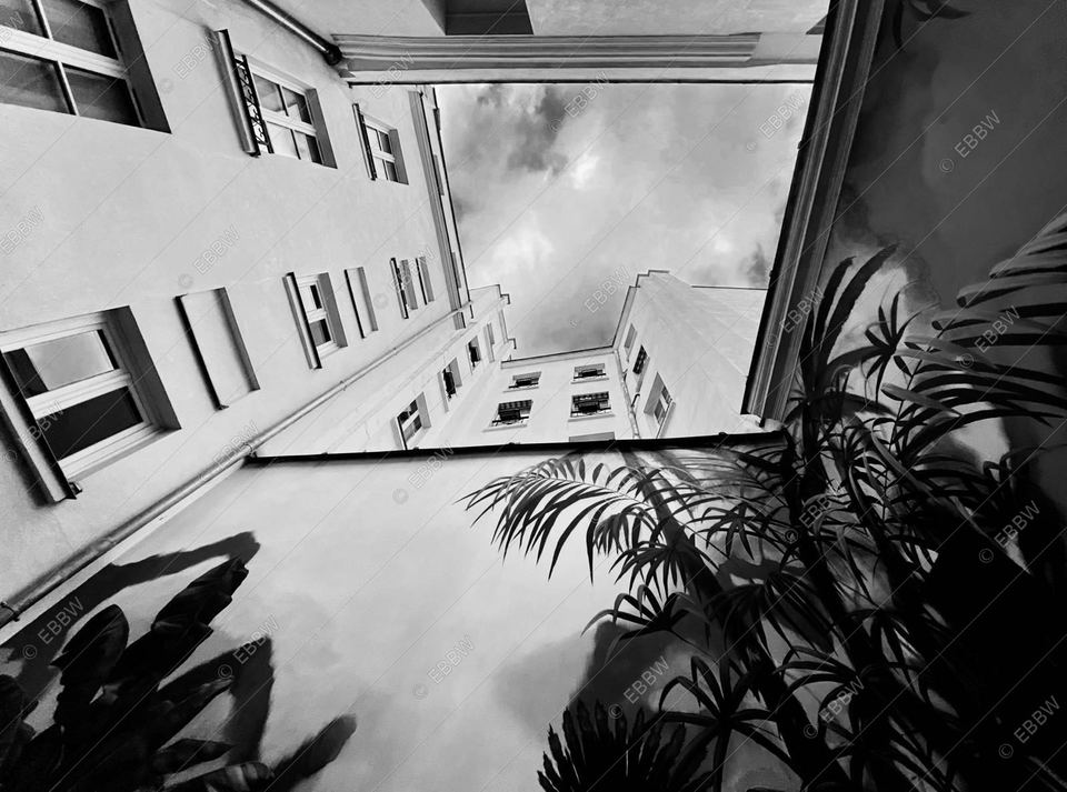 Cour intérieure vue vers le ciel, palmiers en ombre